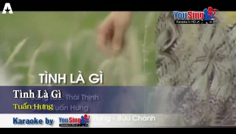 Tình là gì