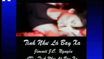 Tình như lá bay xa