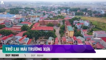 Trở lại mái trường xưa