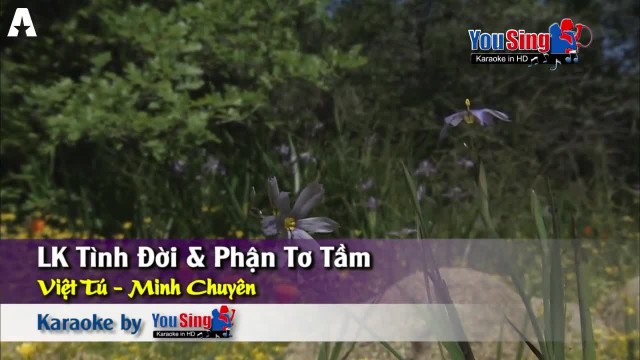 Liên khúc: Tình đợi - phận tơ tằm