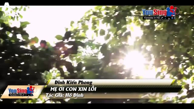 Mẹ ơi con xin lỗi