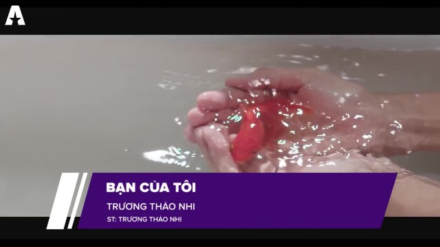 Bạn của tôi