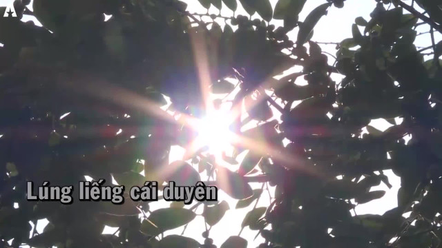 Lúng liếng cái duyên